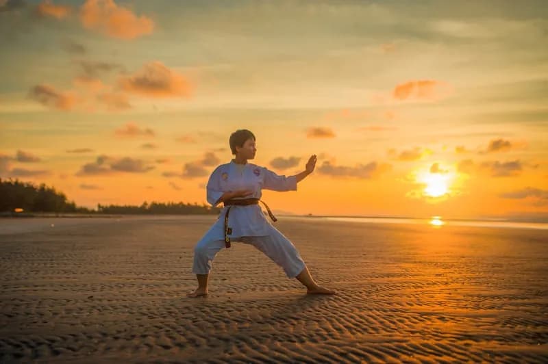 Karate - Intro